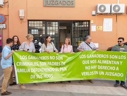 La portavoz de Vox en el Ayuntamiento de Lorca, Carmen Menduiña, en el centro, junto a afiliados ultras, esta mañana ante el juzgado de Lorca.