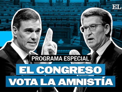 Programa especial El Congreso vota la amnistía