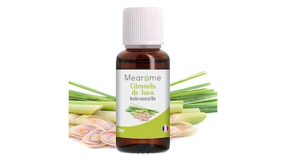 Citronela sobre fondo blanco