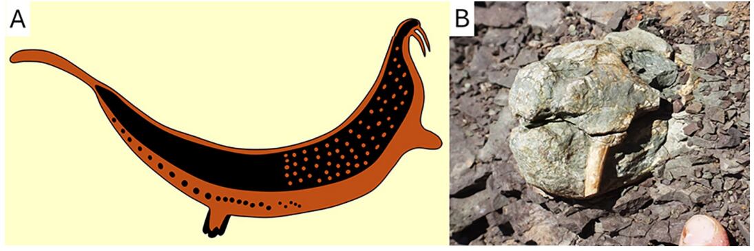 De izquierda a derecha, el dibujo de una serpiente cornuda (de los investigadores George Stow y Dorothea Bleek) y el cráneo de un dicinodonte fotografiado por el autor in situ en el momento de su descubrimiento.