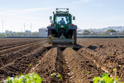 Un agricultor trabaja en una finca de Sevilla con una tractor, en enero de 2024.