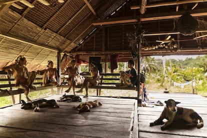 La casa del clan de los mentawai, conocida como uma, es el centro de la actividad cultural, ritual y ceremonial. Estas viviendas se construyen artesanalmente en la selva para poder acoger hasta a 60 personas al mismo tiempo, y, a pesar de que en su interior solo hay dos tabiques divisorios, parece que funcionan increíblemente bien. La fotografía está hecha en la uma de Aman Lepon, en Buttui.