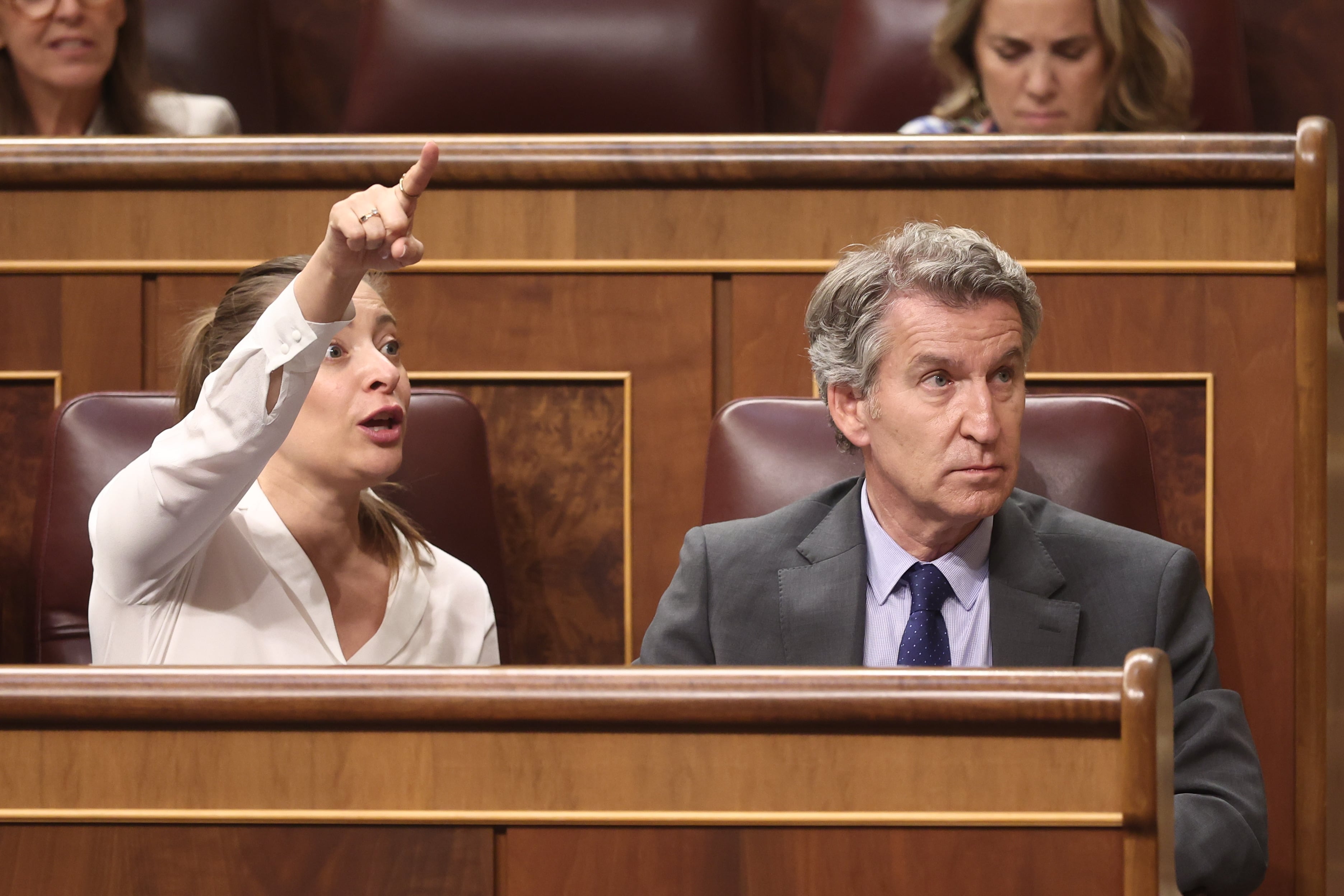 El Congreso abre la vía para impedir que un recurso paralice