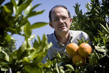 Federico Aparici, propietario de Naranjaslola.com.