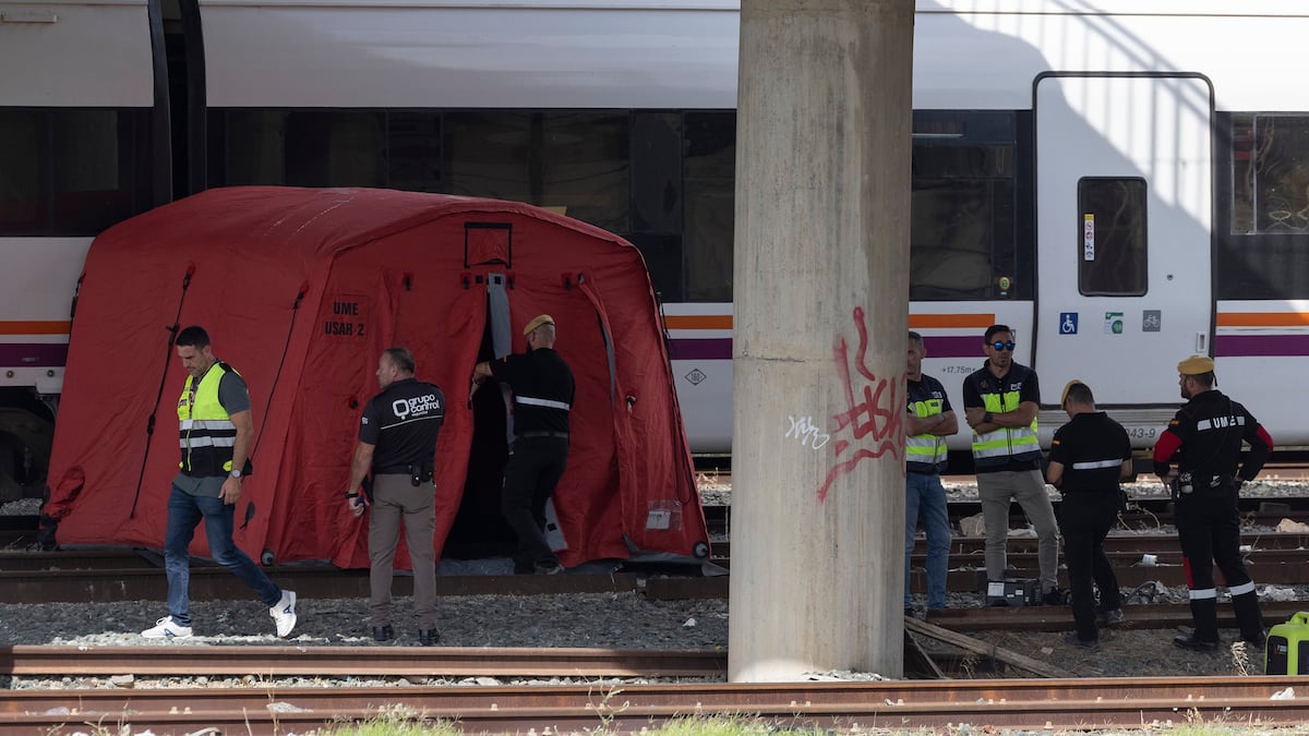 Álvaro Prieto falleció por electrocución poco después de salir de la  estación de Santa Justa, según la autopsia | España | EL PAÍS