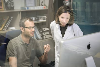 Salvador Aznar y Gloria Pascual, investigadores del IRB implicados en el hallazgo. 