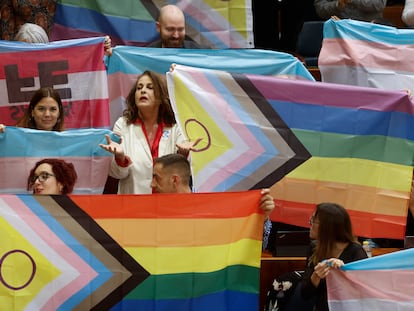 Carla Antonelli, durante un pleno extraordinario en la Asamblea de Madrid convocado para aprobar modificaciones de las leyes trans y LGTBI, en diciembre de 2023.