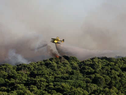 Cuatro medios aéreos, además de bomberos forestales y del Ayuntamiento de València, se han desplazado para participar en las labores de extinción del incendio declarado este sábado en la Devesa del Saler.