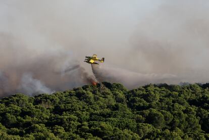 Cuatro medios aéreos, además de bomberos forestales y del Ayuntamiento de València, se han desplazado para participar en las labores de extinción del incendio declarado este sábado en la Devesa del Saler.