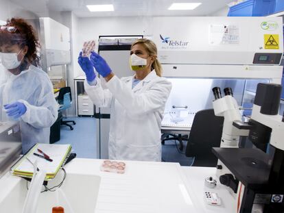 Dos empleadas de Algenex trabajan en el laboratorio de Tres Cantos.