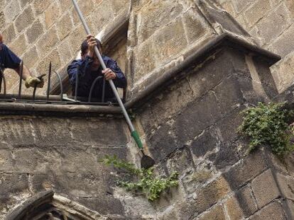 Dos operarios de mantenimiento arrancan las hierbas de la catedral.