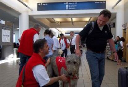 Terapia con animales en el aeropuerto de Los Ángeles.