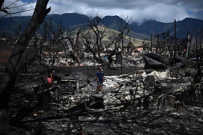 Un habitante, junto a su familia, busca pertenencias entre las cenizas de su casa quemada, este viernes en Lahaina (Hawái). 