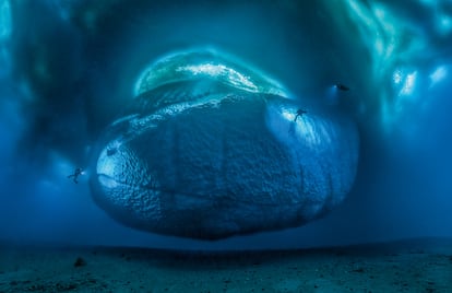 A unique photo by Ballesta of a whole iceberg, taken from beneath.