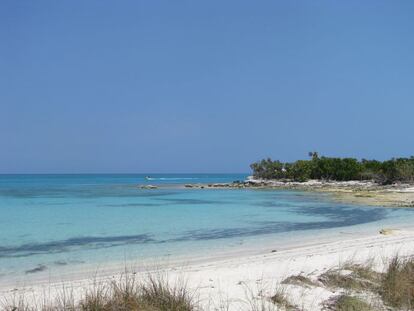 El ranking mundial está liderado por las islas Providenciales, siendo la más poblada de las Islas Turcas y Caicos. Un lugar perfecto para practicar snorkel entre los arrecifes de coral.