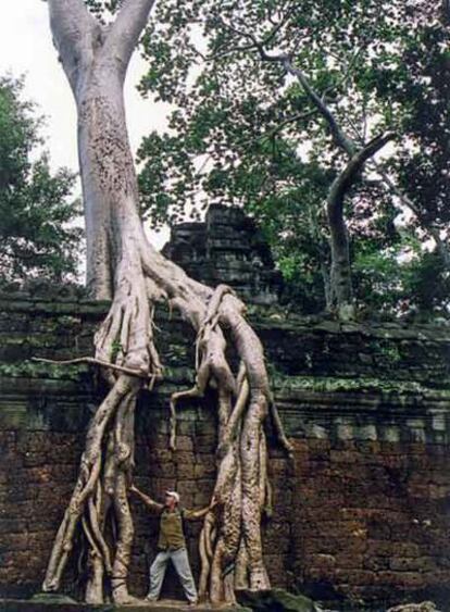 El autor de la carta, frente al templo de Ta Prohm, rodeado de árboles, en Camboya.