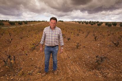 "Es una decisión política". Cuatro palabras le bastan a José Martínez, en la imagen, para resumir la parálisis del rebusco en Tierra de Barros. De 56 años y vecino de Villafranca, responsabiliza directamente a la Junta de Extremadura. “Como por ley no pueden impedirlo, han decidido atacar a los compradores”, repite sin tapujos el hombre, casado y con dos hijos, que con 10 años empezó a recolectar lo que los grandes propietarios desechaban. Igual que hubiera hecho ahora: “Pero ahora me quedo unos 20 días sin ingresos”.