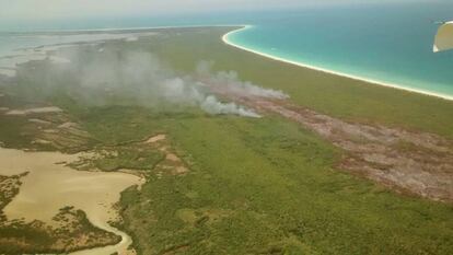 Parte del área afectada por el incendio en Holbox (México).