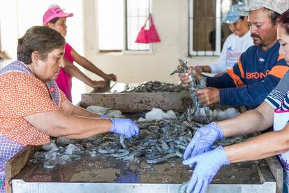 11 cooperativas de pescadores artesanales en México se han asociado con Fair Trade USA
