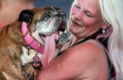 Megan Brainard e seu cão, Zsa Zsa, durante a competição 'O cão mais feio do mundo', em Petaluma, ao norte de São Francisco (EUA). Zsa Zsa ficou em primeiro lugar e levou o prêmio de 1.500 dólares.