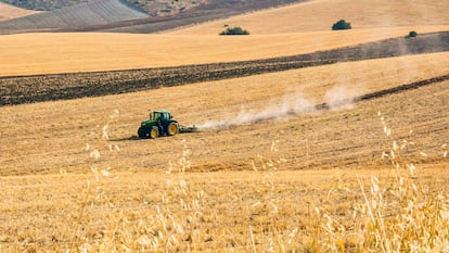 Un tractor prepara el suelo para iniciar la siembra en Málaga.