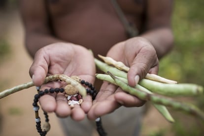 Los proyectos, desarrollados siempre en colaboración con los líderes y la comunidad kirirí, muestran cómo es posible construir sobre las tradiciones de un pueblo indígena un plan de desarrollo que sea a la vez respetuoso con su cultura y eficaz en términos económicos. Así, un tercer pilar del desarrollo económico de los kirirí es la introducción y potenciación de alternativas de generación de renta no agrícolas. Entre ellas, ocupa un lugar destacado la artesanía. Los artesanos kirirí utilizan, con gran ingenio y habilidad, los pocos elementos que les proporciona el sertão para crear belleza. Josê Valdo Jesus dos Santos, sostiene en un mano un manojo de judías verdes y, en la otra, un collar elaborado con las semillas de esta planta.