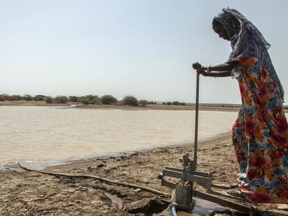 Una mujer bombea agua de un estanque construido para regar los pastos en el distrito de Elidaar, en el nordeste de Etiopía.