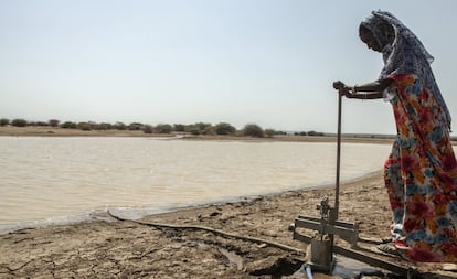 Una mujer bombea agua de un estanque construido para regar los pastos en el distrito de Elidaar, en el nordeste de Etiopía.