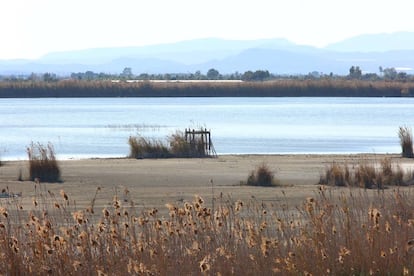 Parque natural de El Hondo, un santuario de aves ubicado en el sur de la provincia de Alicante.