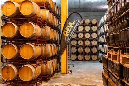 Sala de crianza de vinos tintos en barricas de roble francés y americano.