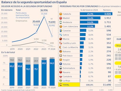 Ley Segunda oportunidad Gráfico