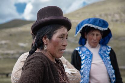 Mujeres de Umpuco al sur de Perú crían alpacas y resisten la sequía más dura de los últimos 60 años.