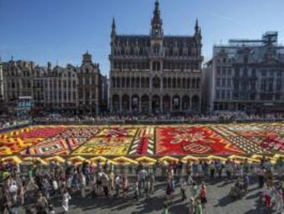 Vista general de una alfombra de flores que cubre la Grand Place de Bruselas (Bélgica) hoy, miércoles 15 de agosto de 2012. Este evento se celebra bianualmente y para la elaboración de la alfombra se utilizan miles de begoñas y los artistas tardan cuatro días en montarla.