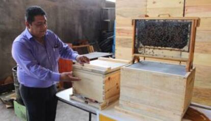 Beekeepers are very worried about the effects of the Asian hornet.