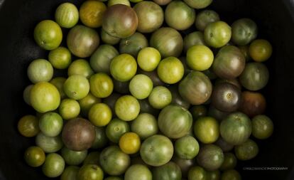 Tomates orgánicos en el restaurante El Baqueano en Buenos Aires