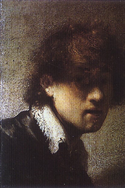 Rembrandt dejó como legado una impresionante galería de retratos de personajes de la Holanda de su época, pero su principal modelo fue él mismo. Más de un centenar de autorretratos documentan su vida exhaustivamente. Éste es de 1629, a sus 23 años.