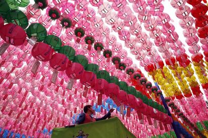 Un budista surcoreano arregla lámparas de loto durante la celebración de cumpleaños de Buda en el Templo de Jogyesa, en Seúl (Corea del Sur). 