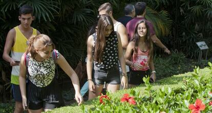 Tres jóvenes buscan el dinero entre los arbustos.
