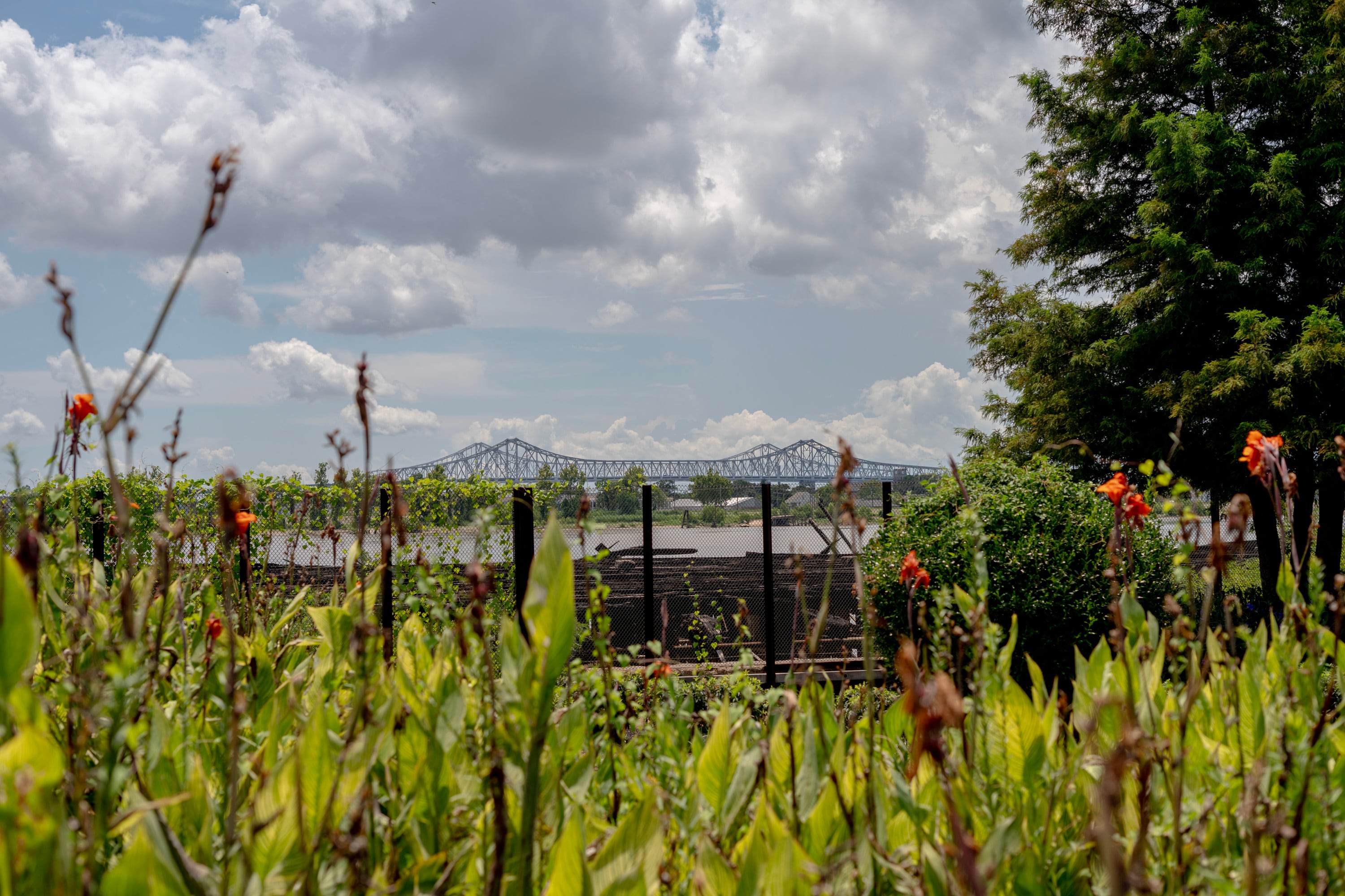 Crescent Park en el vecindario Bywater en Nueva Orleans.