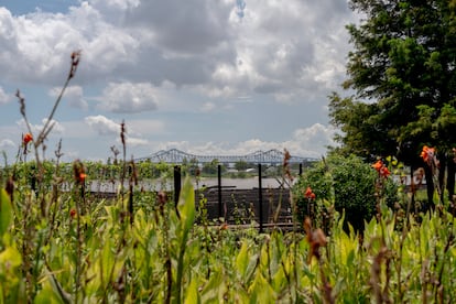 Crescent Park en el vecindario Bywater en Nueva Orleans.