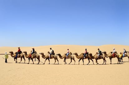 En origen no había camellos en Xiangshanwan, pero la llegada de turistas ha hecho que se incluya en la propia entrada un pequeño paseo a lomos de estos animales.