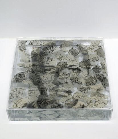 Narcisos, 1995- 2009 Polvo de carbón, papel sobre agua y plexiglás
