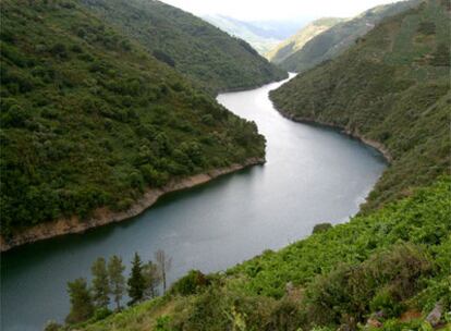 Cañones del río Sil en la Ribera Sacra, Galicia