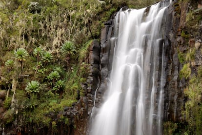 Las cascadas del parque nacional de Aberdare.