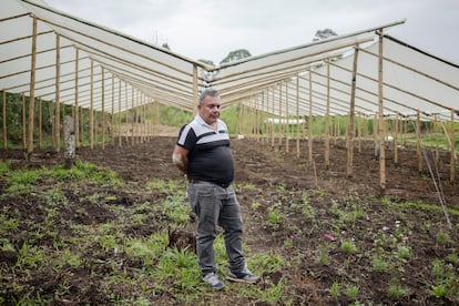 NO USAR: SOLO PARA LOS REPORTAJES DE CANNABIS MEDICINAL EN COLOMBIA QUE SE PUBLICARON DE LA BECA GABRIEL GARCÍA MÁRQUEZ ESCRITOS POR DANIELA DÍAZ.