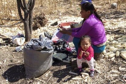 La anemia se debe principalmente a la falta de alimentos ricos en hierro, un elemento que proporcionan fundamentalmente los productos de origen animal. La dieta de los niños de Yanapampa, como en la mayoría de los Andes, está basada fundamentalmente en la papa, el maíz, el trigo, algunas legumbres y verduras.