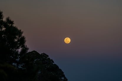 Vista de la luna llena a través de la ceniza volcánica lanzada por el Popocatépetl desde la zona de Paso de Cortés. 