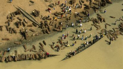 Transporte en piraguas de haces de leña a través del río Bani en Djenné, Mali.