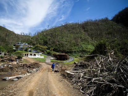 Un hombre camina hacia su casa entre la destrucci&oacute;n provocada por le hurac&aacute;n &#039;Irma&#039; en Barranquitas, Puerto Rico. 