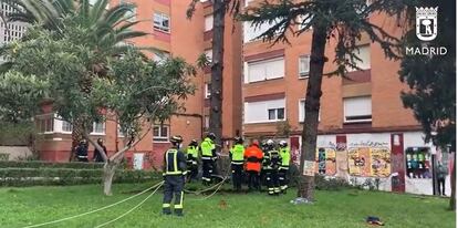 Varios bomberos retiran un árbol en un edificio del madrileño barrio de Canillas.